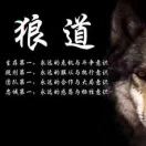 北方的狼