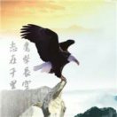 向往神鹰