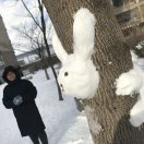 俭龙在天