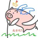 启望