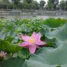 yunfeng