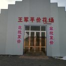 王军花场13009380871