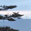 安立新