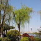 海阔天空