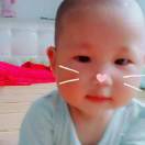 李艳奎