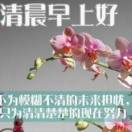 盛世风光
