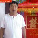 喜洋洋花轿王连平