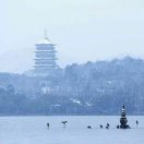 迅驰货运浙江专线
