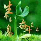 想约幸福