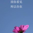 肖路路