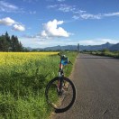 王波峰
