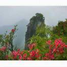 山高我为峰