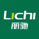 丽驰电动汽车13462844005