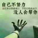 清风半缕