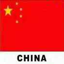 强子