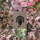 东风面