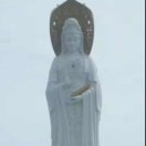 小陈