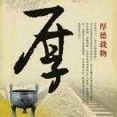 坚强的男人
