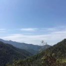 随缘