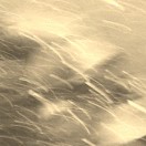 夜雪