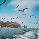 大海