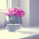 王芳