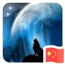 张伟