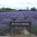 人在旅途
