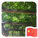 张海