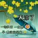 城惶城恐