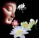高全新
