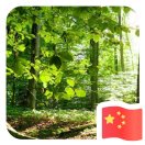 邢台小高