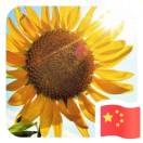 衡东轻卡销贷+保险15731898825