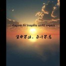 张超13526896139