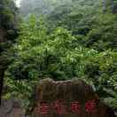 一线天