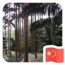 时间的行者
