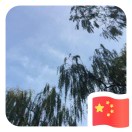 郭晓东