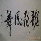 龍飛鳳舞