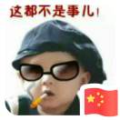 爱若梅花情如雪