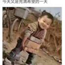 大自然搬运工
