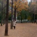 梦想如真