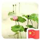 胡楚金