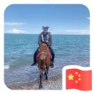 对方正在输入...