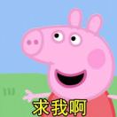 橘子