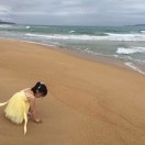 丽