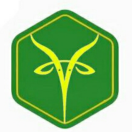 踏实