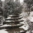 宋飞