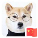 刘小胖🐶🐶🐶