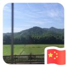 轻诺必寡信