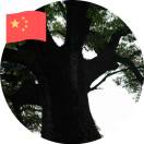 李小超